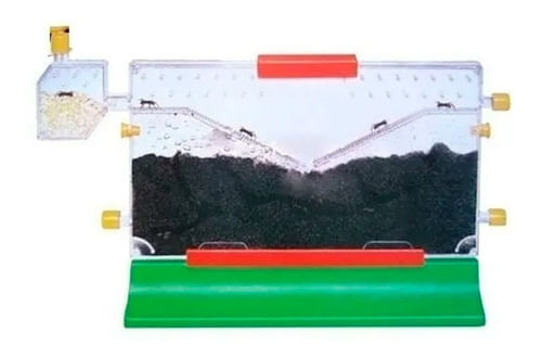 Mi Hormiguero Aprender La Naturaleza 348