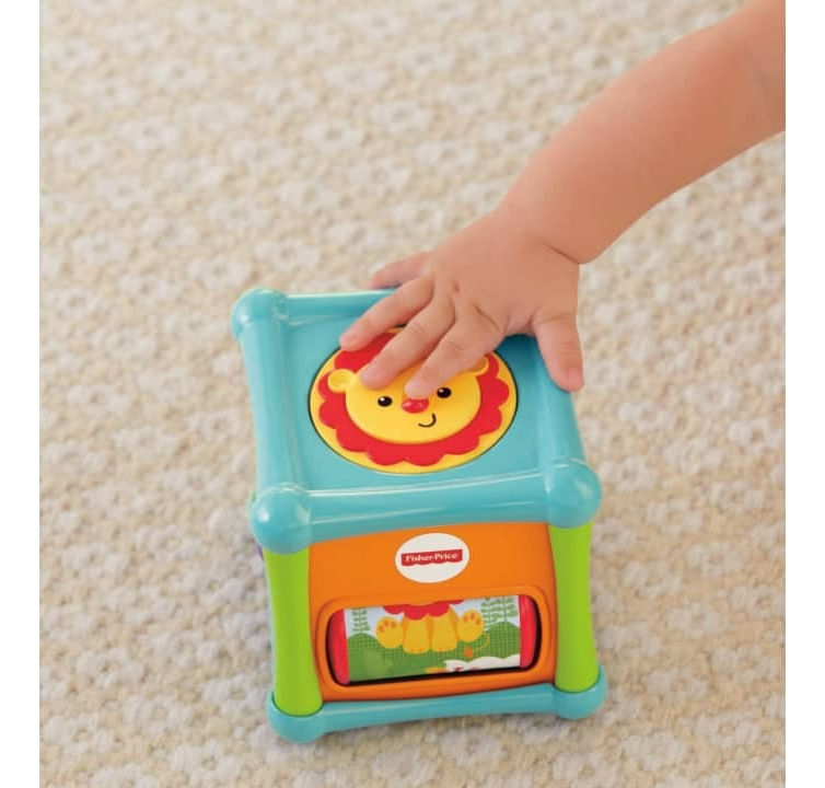Fisher Price Cubo Animalitos De Actividades Bfh80 Mattel