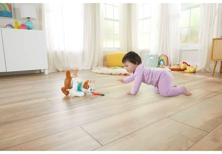 Fisher Price Cachorro Gatea Conmigo Hgy56 Mattel