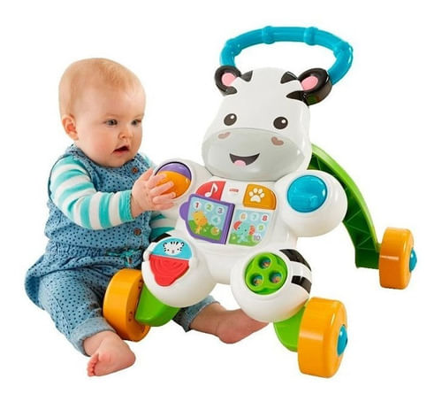Fisher Price Cebra Caminador De Aprendizaje Dpm82