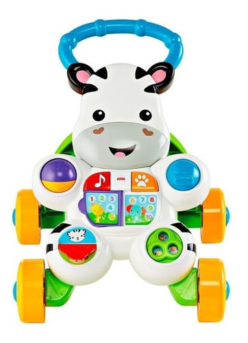 Fisher Price Cebra Caminador De Aprendizaje Dpm82