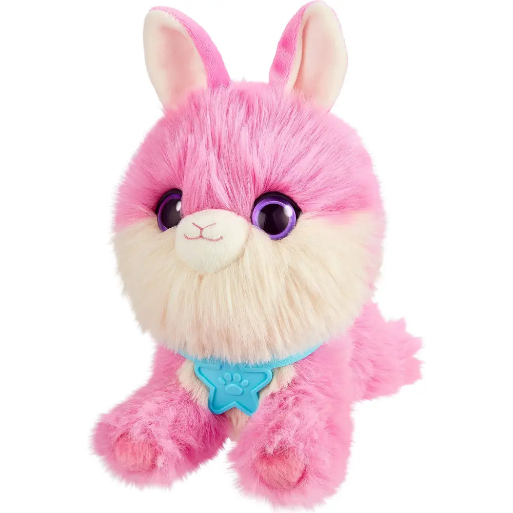 Scruff-a-Luvs Surtido de Mascotas 30190