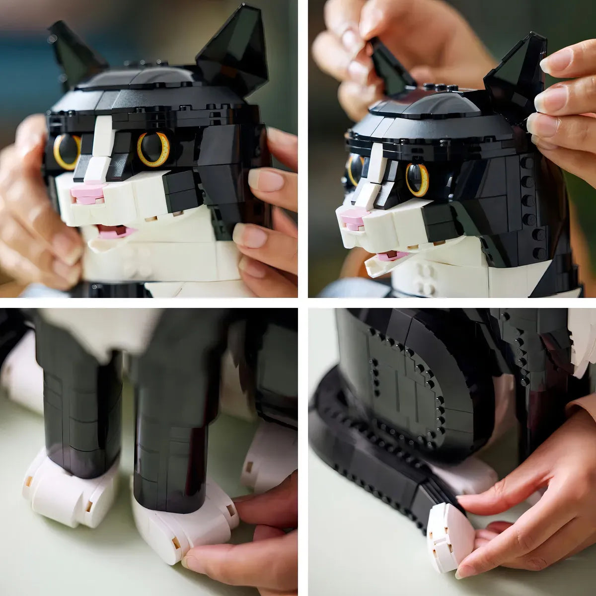 LEGO Idea Gato Bicolor 21349