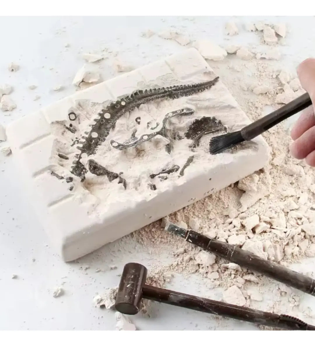 Juego De Mesa Set De Arqueología Dinosaur Skeleton 2185430
