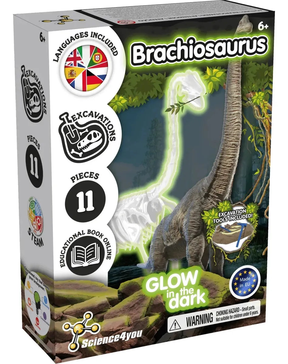 Science4you Excavación de Fósiles Brachiosaurus Brilla en la Oscuridad 80004450 630857