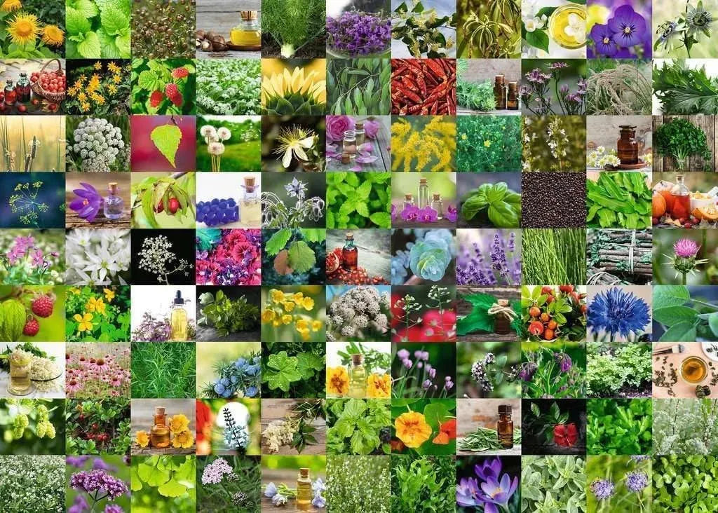 Ravensburger Puzzle 1000 Pzs 99 Herbs And Spices 12000073