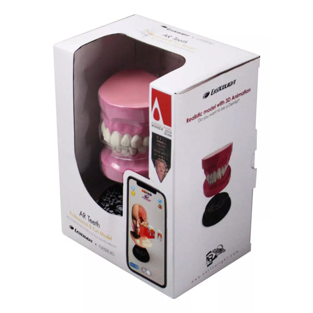 EASTCOLIGHT DIENTES MODELO PROFESIONAL 35003