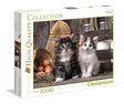 Puzzle Rompecabezas 1000 Pzs Gatitos Clementoni 39340