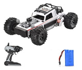 Coche R/c Buggy High-speed Spray Car 1:10 024422 Ns