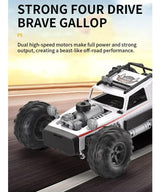 Coche R/c Buggy High-speed Spray Car 1:10 024422 Ns