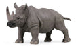 Animales Coleccionables 27cm Rinoceronte 1675601