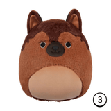 Squishmallows - Sp25 Dog Sqcro7955