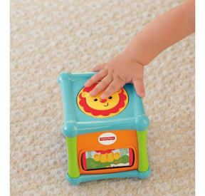 Fisher Price Cubo Animalitos De Actividades Bfh80 Mattel
