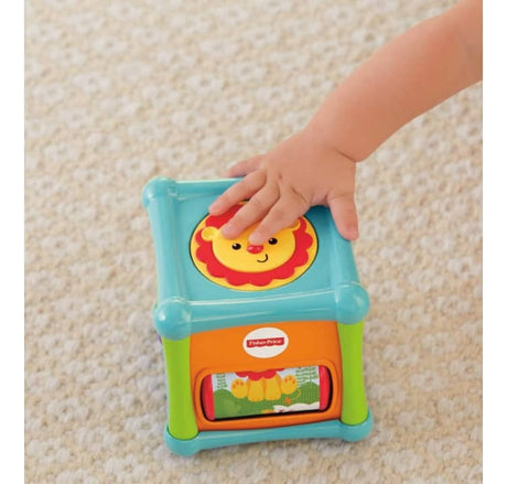 Fisher Price Cubo Animalitos De Actividades Bfh80 Mattel