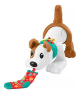 Fisher Price Cachorro Gatea Conmigo Hgy56 Mattel