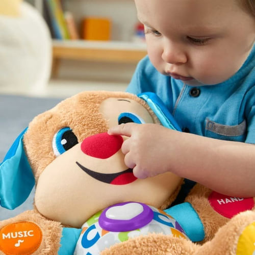 Fisher Price Perrito Aprende Conmigo Ftn30 Mattel