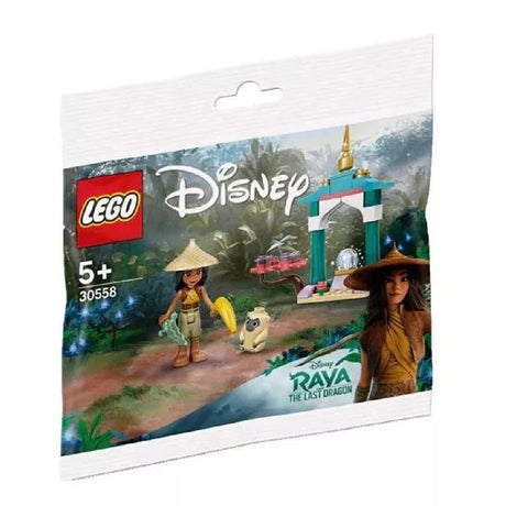 Lego Recruitment Bags Rain 30558