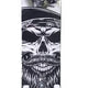patineta Skate Yx-0205