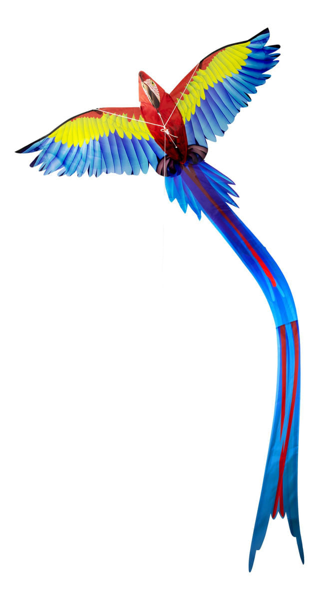 Barrilete Guacamayo Popup Ef3dparrot