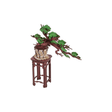 Robotime Puzzle Rolife Evergreen Pine Bonsai TG510