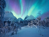 Ravensburger Puzzle 1500 Pzs The Arctic Show 12000802
