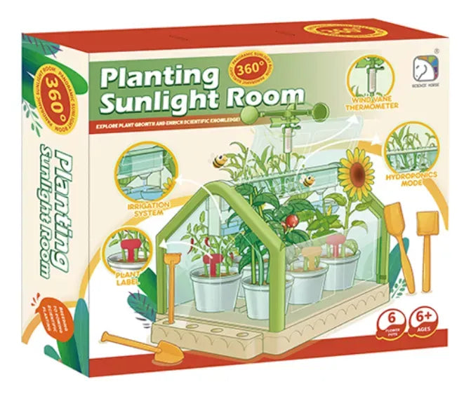 Juego Planting Sunlight Room 2434816