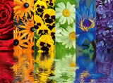 Ravensburger Puzzle 500 Pzs Floral Reflections 12000213