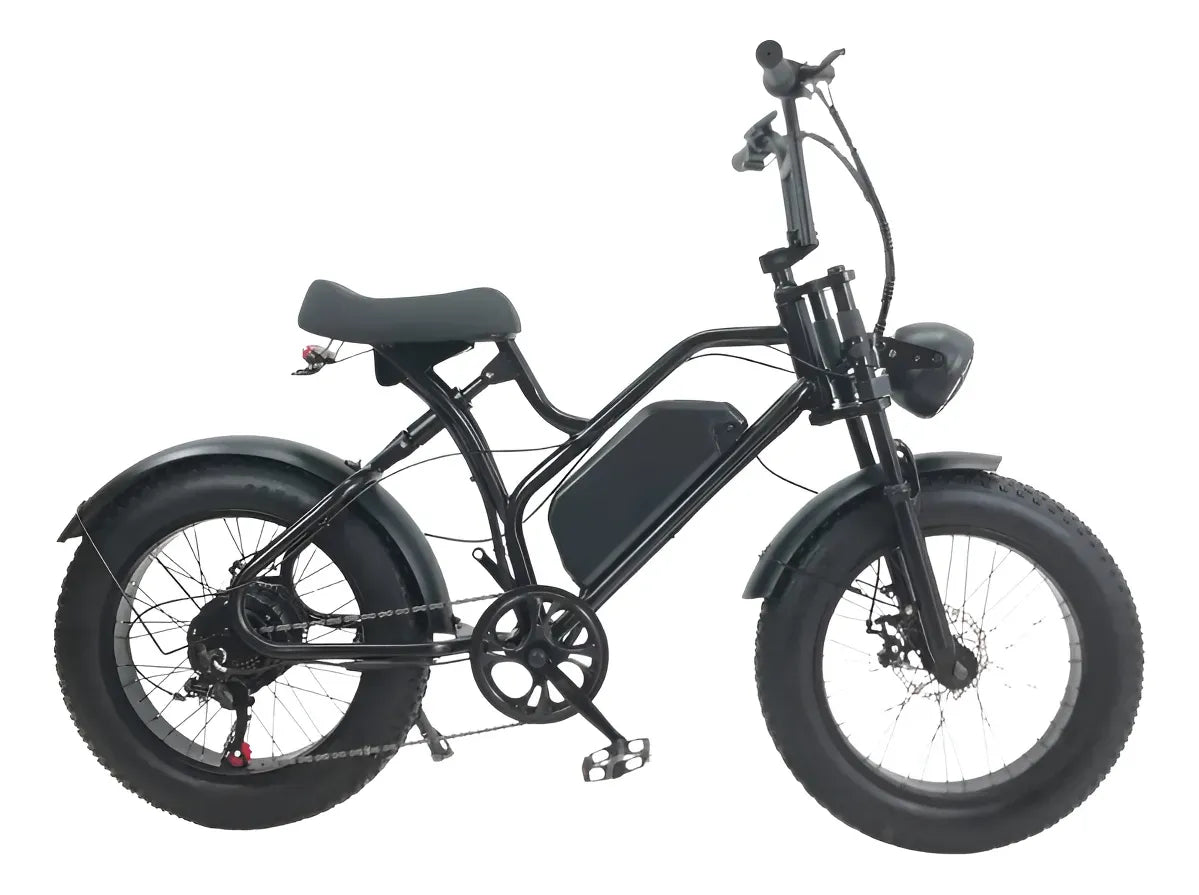 Bicicleta Electrica Negra 20 Pulgadas Yx-g50
