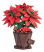 Robotime Rowood Puzzle 3d Poinsettia Flor De Pascua Tf001