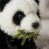 Oso Panda de Peluche a Pila Shine KL263