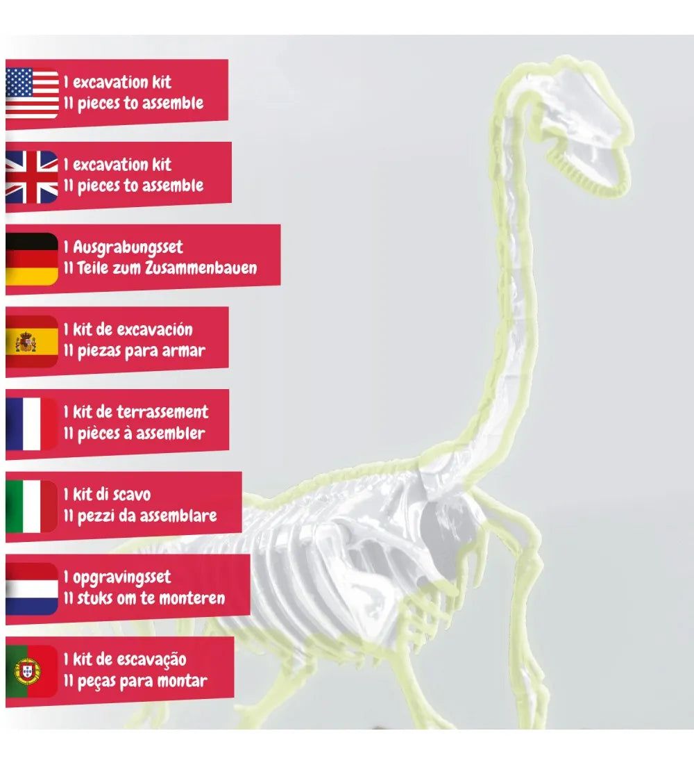 Science4you Excavación de Fósiles Brachiosaurus Brilla en la Oscuridad 80004450 630857