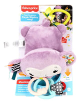 Fisher Price Mono Morado De Peluche JFF02