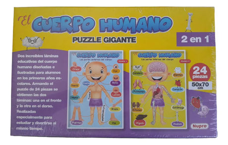 Puzzle de 24 piezas del cuerpo humano 2255
