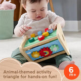 Triangulo de Actividades Fisher Price HYG48