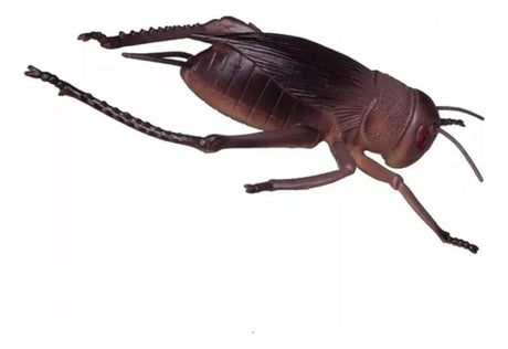 Insect World Grillo 2223158