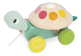 Janod Zigolos Tortuga Sonajero De Arrastre J08236