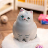 52toys Meowstery Sound Series Figura Blind Box S78886