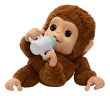 Little Live Pets Baby Monkey 26558