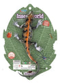 Insect World Iguana 2305361 Shine