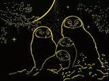 Ravensburger Puzzle Glow 500p Owls In The Moonlight 12000479