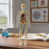 Antex Juego Cuerpo Humano 0203 - vista 3