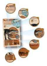 Luminias Cartas Enciclopedia Dinosaurios 78410