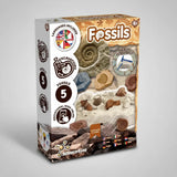 Science4you Excavación de Fósiles 80004985 634831
