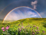 Ravensburger Puzzle 1500 Piezas Rainbowscape 12000800