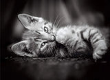 Puzzle Hqc Kitty 1000 Pzas 39422 Clementoni