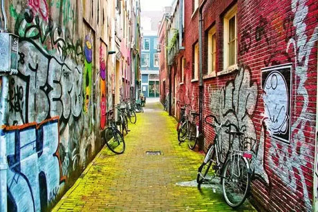 Ravensburger Puzzle 3000 Pz Street Art In Amsterdam 12000807