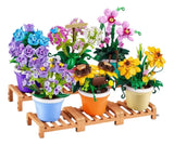 Zuru Max Capsula Garden Set De Flores 83183 7990