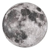 Puzzle Circular 1000 Pzas Luna 810-0204 FD10002695 (30)
