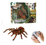 Tarantula a Control Remoto 2058194 Shine