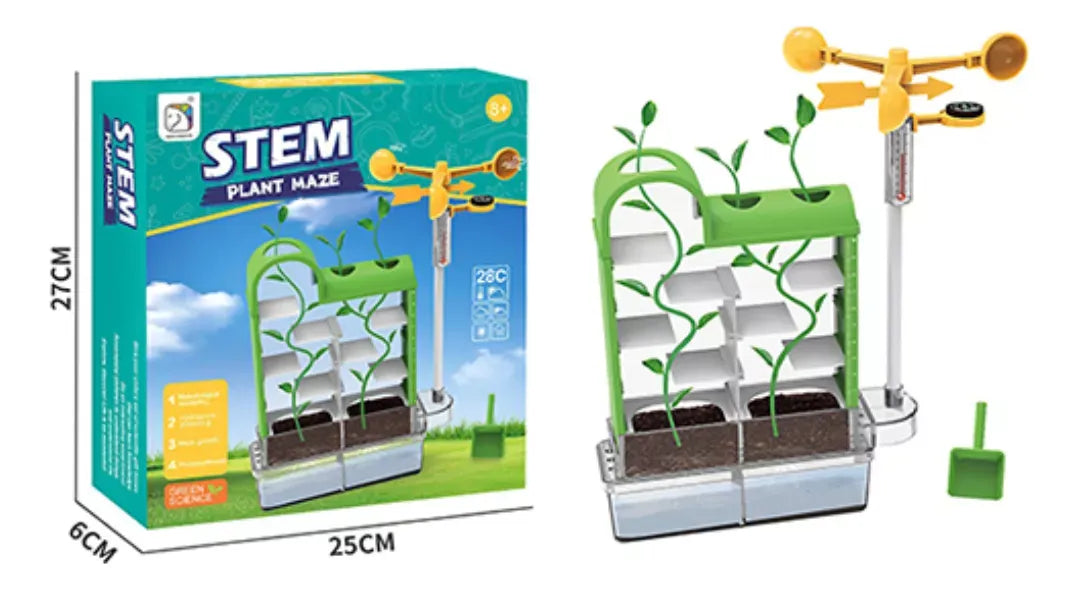 Stem Juego Laberinto de Plantas 2154475